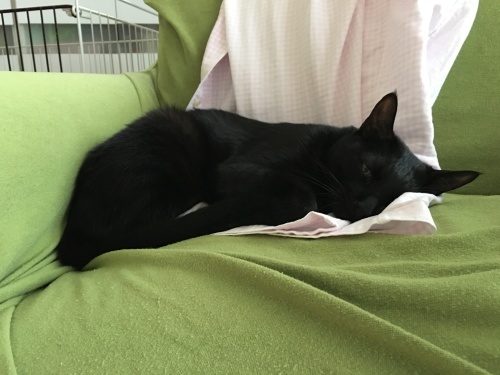 b0341440_00475713.jpeg
