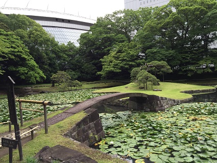 小石川後楽園にて_c0227640_8172244.jpg