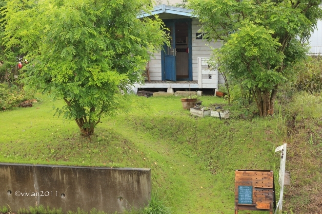 高根沢　パン工房 fu~×マフィンと焼菓子Tokotoko　～住宅街の小さく可愛らしいお店～_e0227942_16110729.jpg