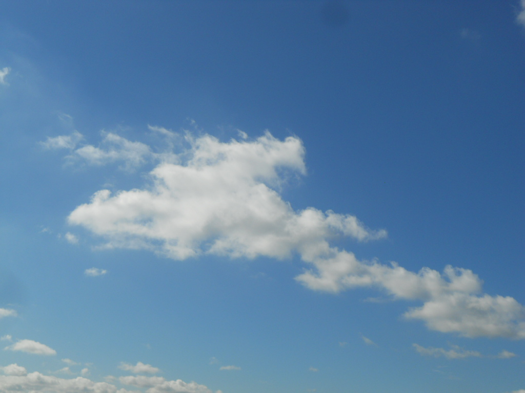 e0300042_16334121.jpg