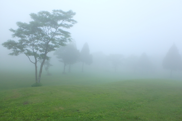 鳥キャンプの夜～2日目は雨＼(◎o◎)／！_c0339546_20152381.jpg