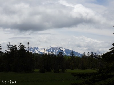 e0326953_1124547.jpg