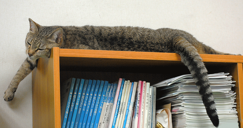 a0001354_2212226.gif