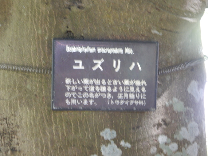 ’16,6,25(土)こんな荒梅雨の日には・・・?_f0060461_1161235.jpg
