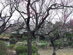 f0148563_16041607.jpg