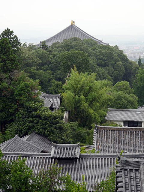 京都・奈良・大阪_f0199866_6493889.jpg