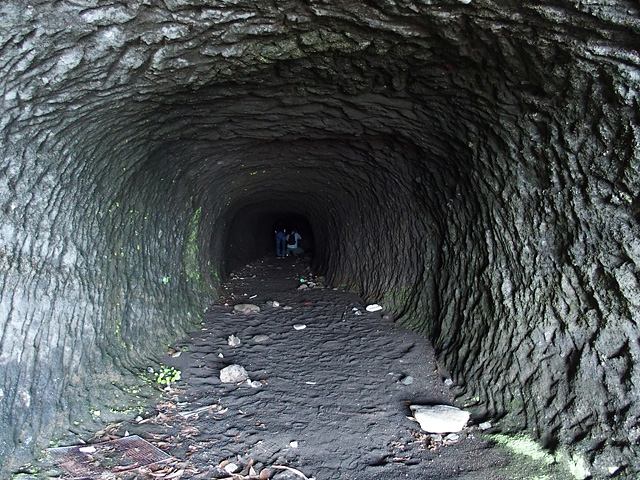 b0006870_19482999.jpg