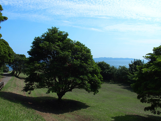 b0006870_1948890.jpg