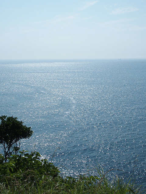 b0006870_19491496.jpg