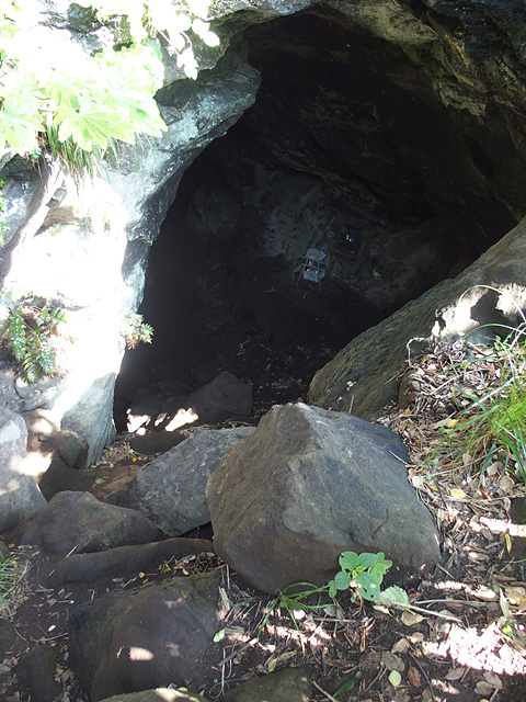 b0006870_19492596.jpg