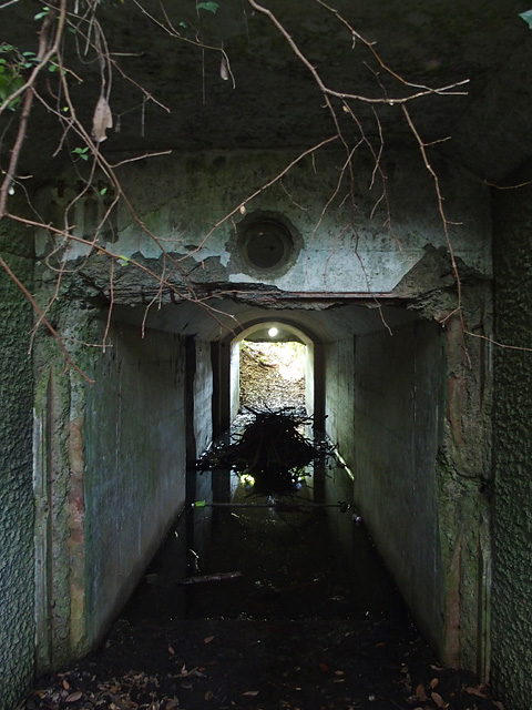 b0006870_19494660.jpg