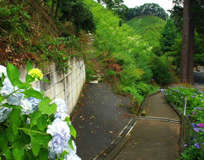b0123486_8394.jpg