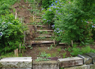 b0123486_91821.jpg