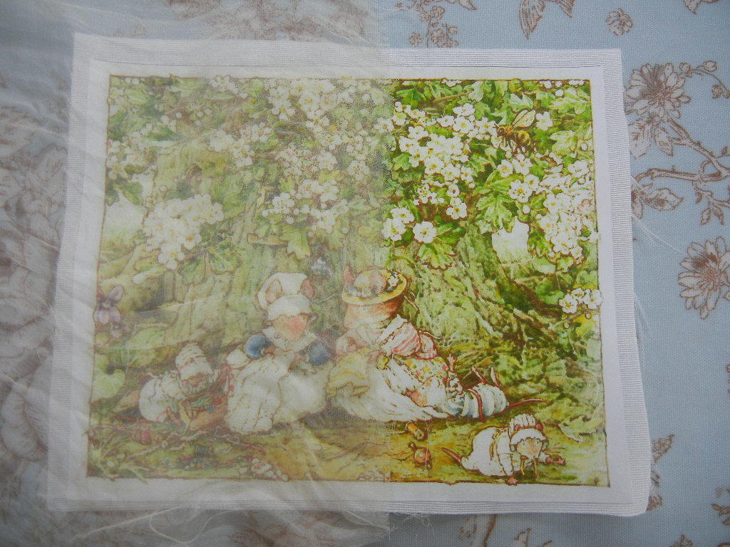 のばらの村のものがたり（Brambly　Hedge）_b0144891_17385637.jpg