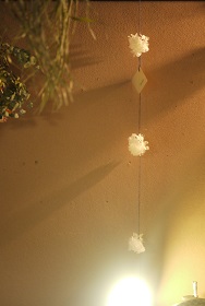本日(6/26)最終「ハクトヤのあじさい展」Blue Bird企画_f0226293_7464596.jpg