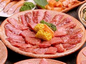 熊本県八代郡氷川町_a0134296_08540825.jpg