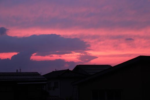 20160625 【自然】夕焼け_b0013099_19431664.jpg