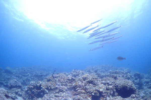 f0121701_214382.jpg