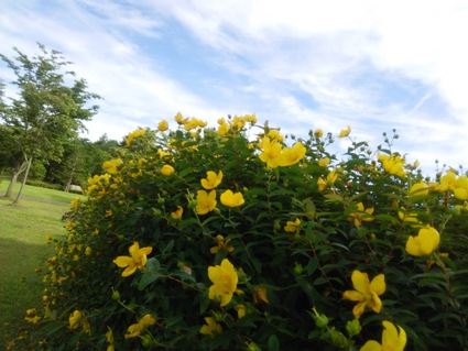 c0212604_15381977.jpg