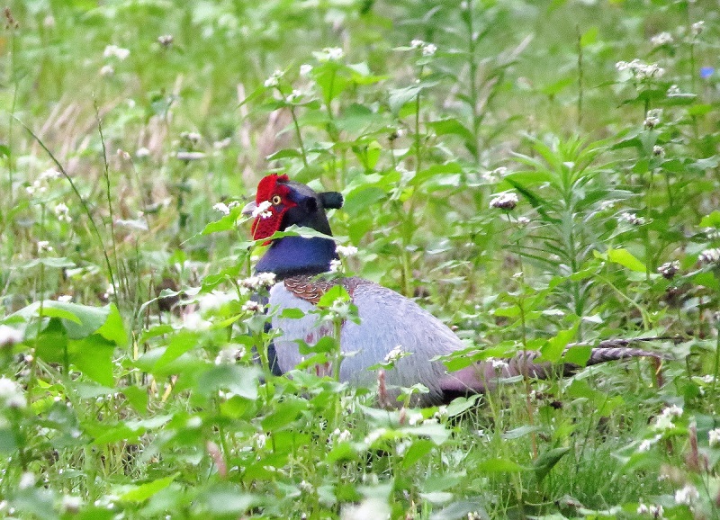 鶴田沼で_e0034313_2191170.jpg