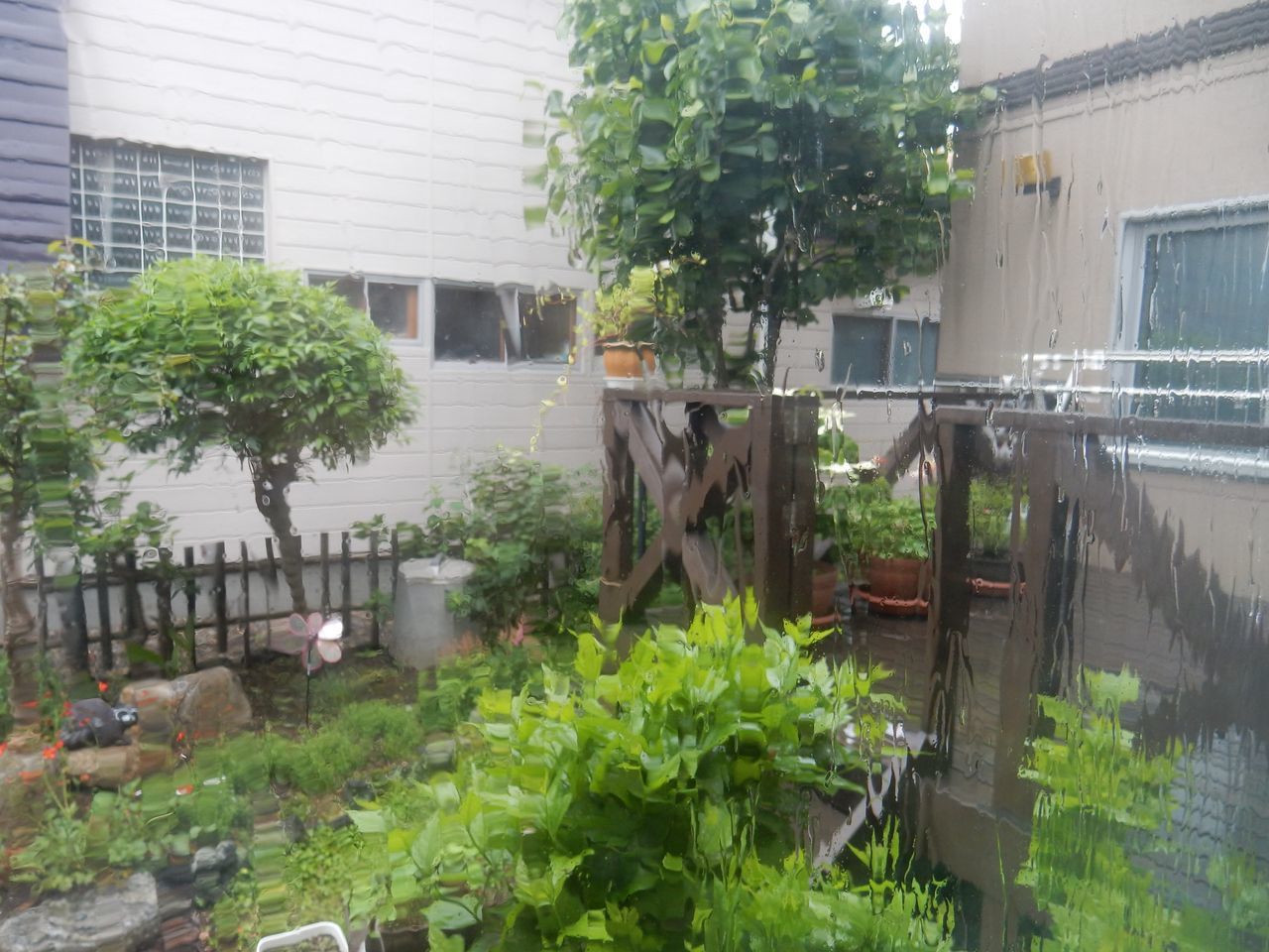 低気圧通過_c0025115_21055763.jpg