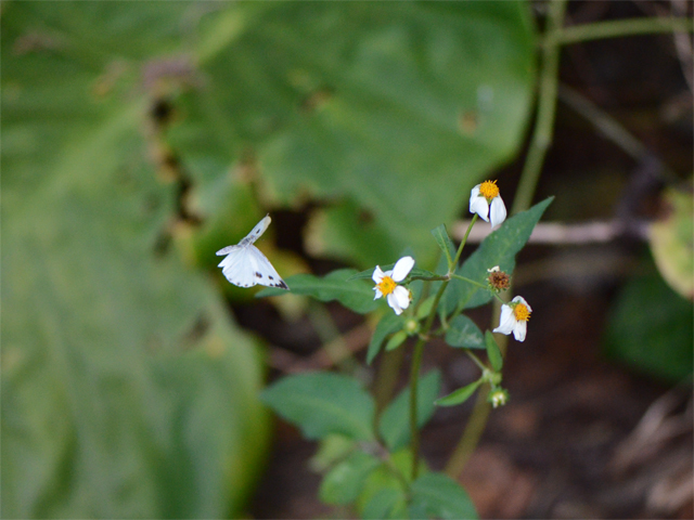 d0332816_1814250.jpg