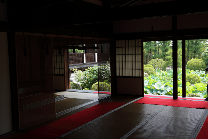 奈良・西ノ京「ロータスロード」 －薬師寺・地蔵院－_b0169330_17492647.jpg