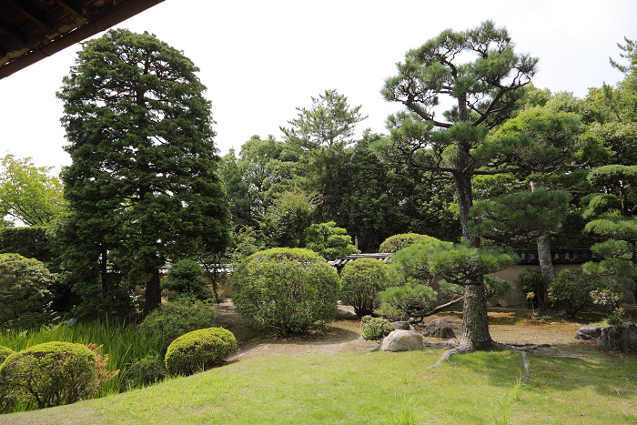 奈良・西ノ京「ロータスロード」 －薬師寺・地蔵院－_b0169330_1871425.jpg