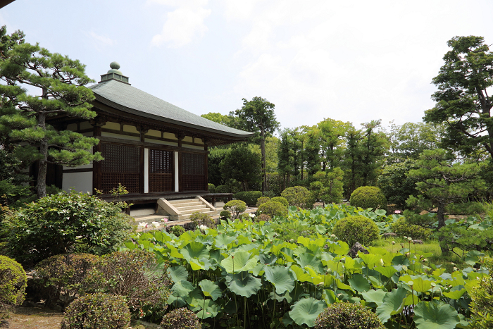 奈良・西ノ京「ロータスロード」 －薬師寺・地蔵院－_b0169330_1873159.jpg