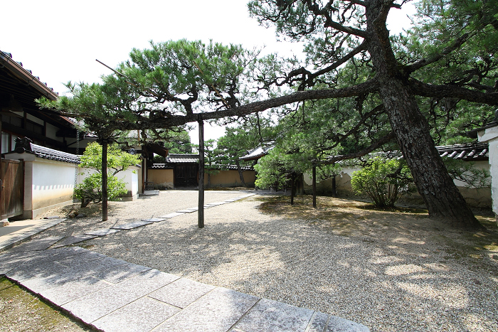 奈良・西ノ京「ロータスロード」 －薬師寺・地蔵院－_b0169330_23271828.jpg