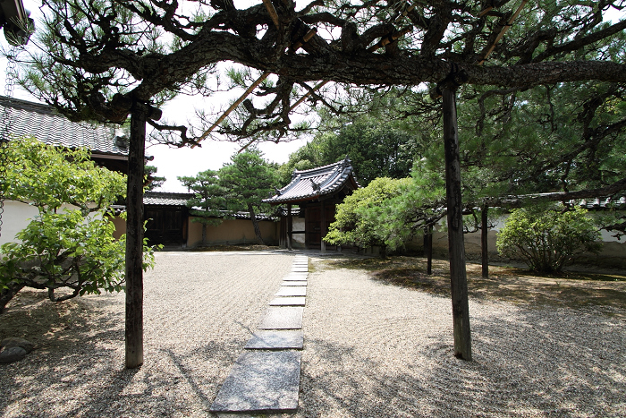 奈良・西ノ京「ロータスロード」 －薬師寺・地蔵院－_b0169330_23272236.jpg