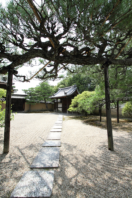 奈良・西ノ京「ロータスロード」 －薬師寺・地蔵院－_b0169330_2327278.jpg