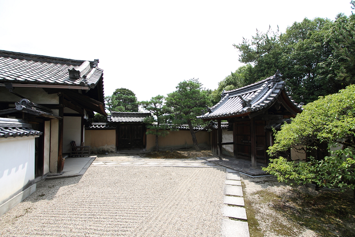 奈良・西ノ京「ロータスロード」 －薬師寺・地蔵院－_b0169330_2327326.jpg