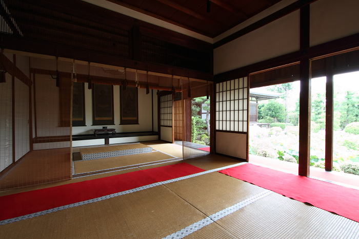 奈良・西ノ京「ロータスロード」 －薬師寺・地蔵院－_b0169330_2351458.jpg