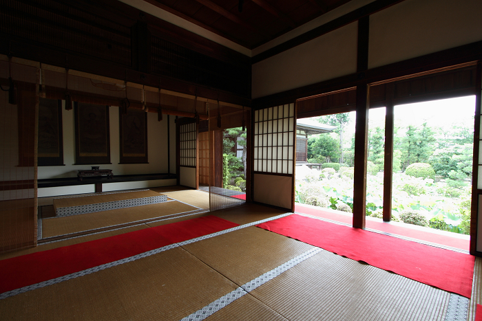 奈良・西ノ京「ロータスロード」 －薬師寺・地蔵院－_b0169330_23520100.jpg