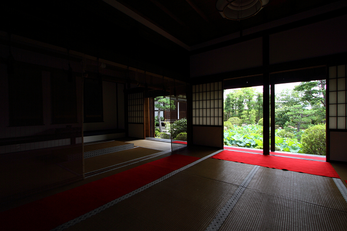 奈良・西ノ京「ロータスロード」 －薬師寺・地蔵院－_b0169330_2352574.jpg