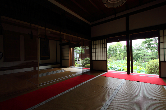 奈良・西ノ京「ロータスロード」 －薬師寺・地蔵院－_b0169330_2372692.jpg