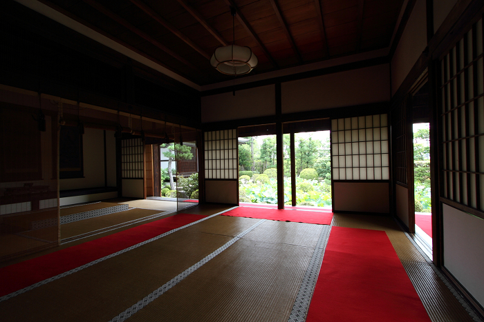 奈良・西ノ京「ロータスロード」 －薬師寺・地蔵院－_b0169330_2373215.jpg