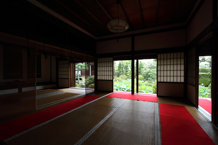 奈良・西ノ京「ロータスロード」 －薬師寺・地蔵院－_b0169330_2373817.jpg