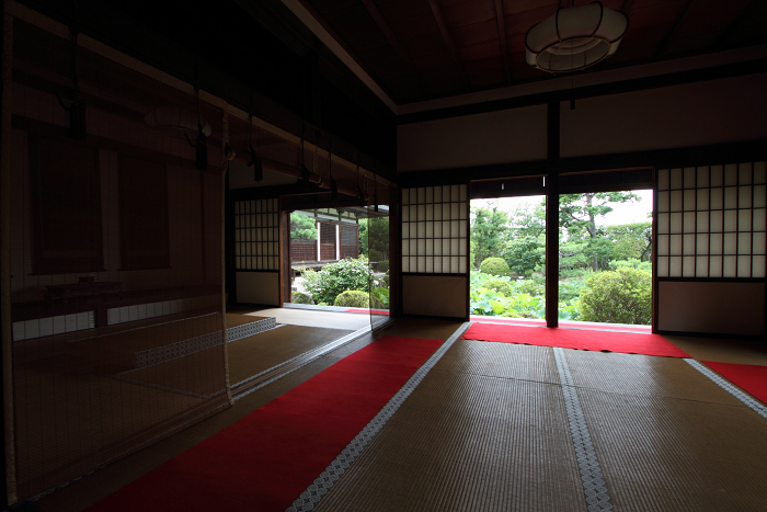 奈良・西ノ京「ロータスロード」 －薬師寺・地蔵院－_b0169330_2374452.jpg