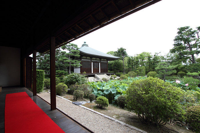 奈良・西ノ京「ロータスロード」 －薬師寺・地蔵院－_b0169330_2375098.jpg