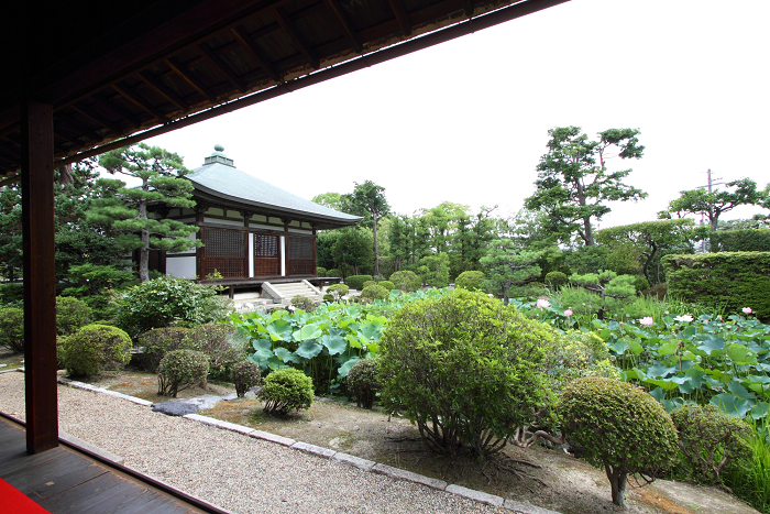 奈良・西ノ京「ロータスロード」 －薬師寺・地蔵院－_b0169330_238114.jpg
