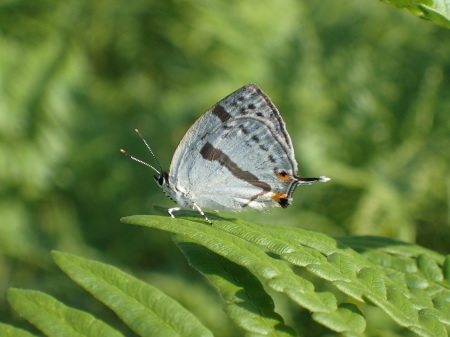 c0353632_20145637.jpg