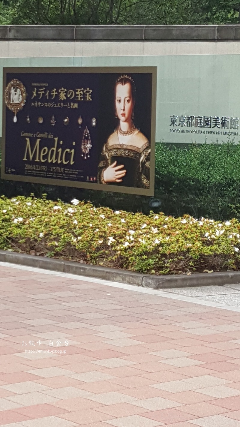 d0269832_15231171.jpeg