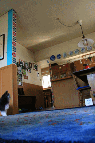 c0145250_11413575.gif