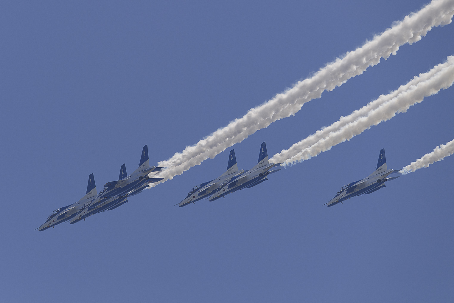a0278951_1957271.jpg
