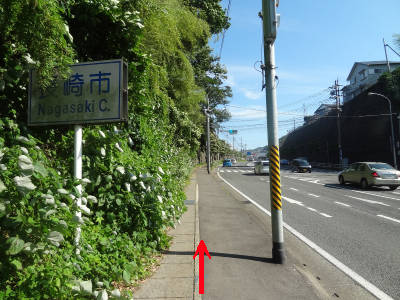e0033751_16241016.jpg