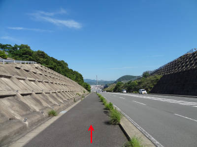 e0033751_1624865.jpg