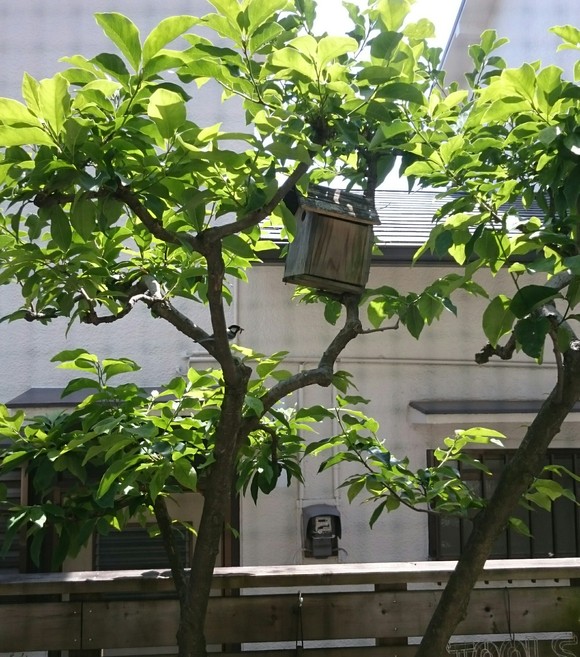 b0268454_20454097.jpg