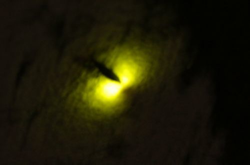 c0294658_06193816.jpg